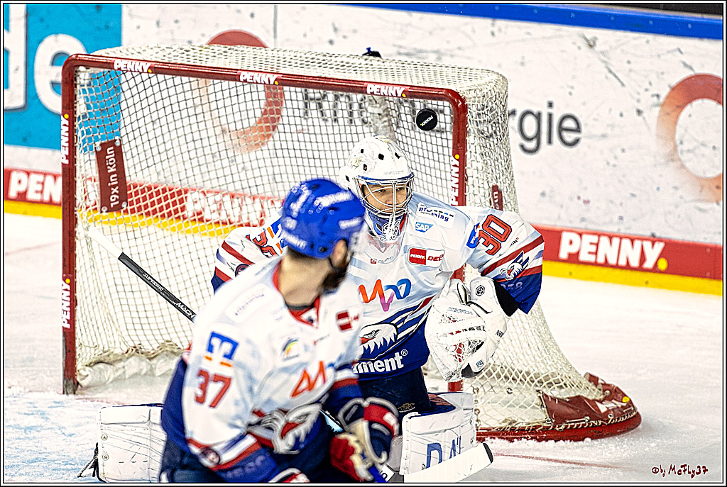 PENNY DEL Viertelfinale Spiel 6;  Koelner Haie - Adler Mannheim; Koeln, 26.03.2023